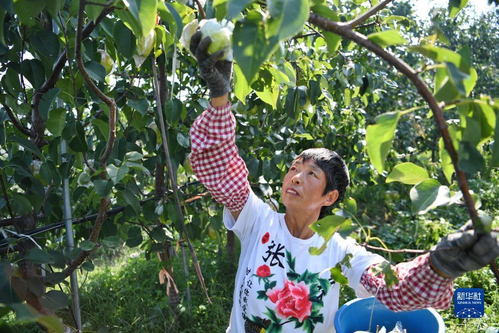 利发国际娱平台
