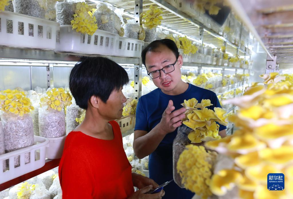 大满贯下载
